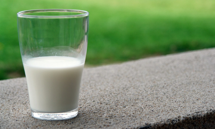 Closeup of a glass half-full of white cow's milk sitting on a curb by green grass to hold a knocked-out tooth