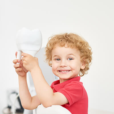 Young child holding up a model of a tooth